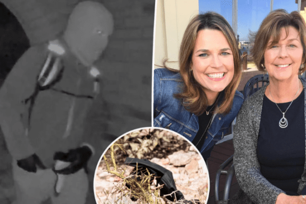 Desperate search for Nancy Guthrie nears 2 weeks as investigators release suspect description